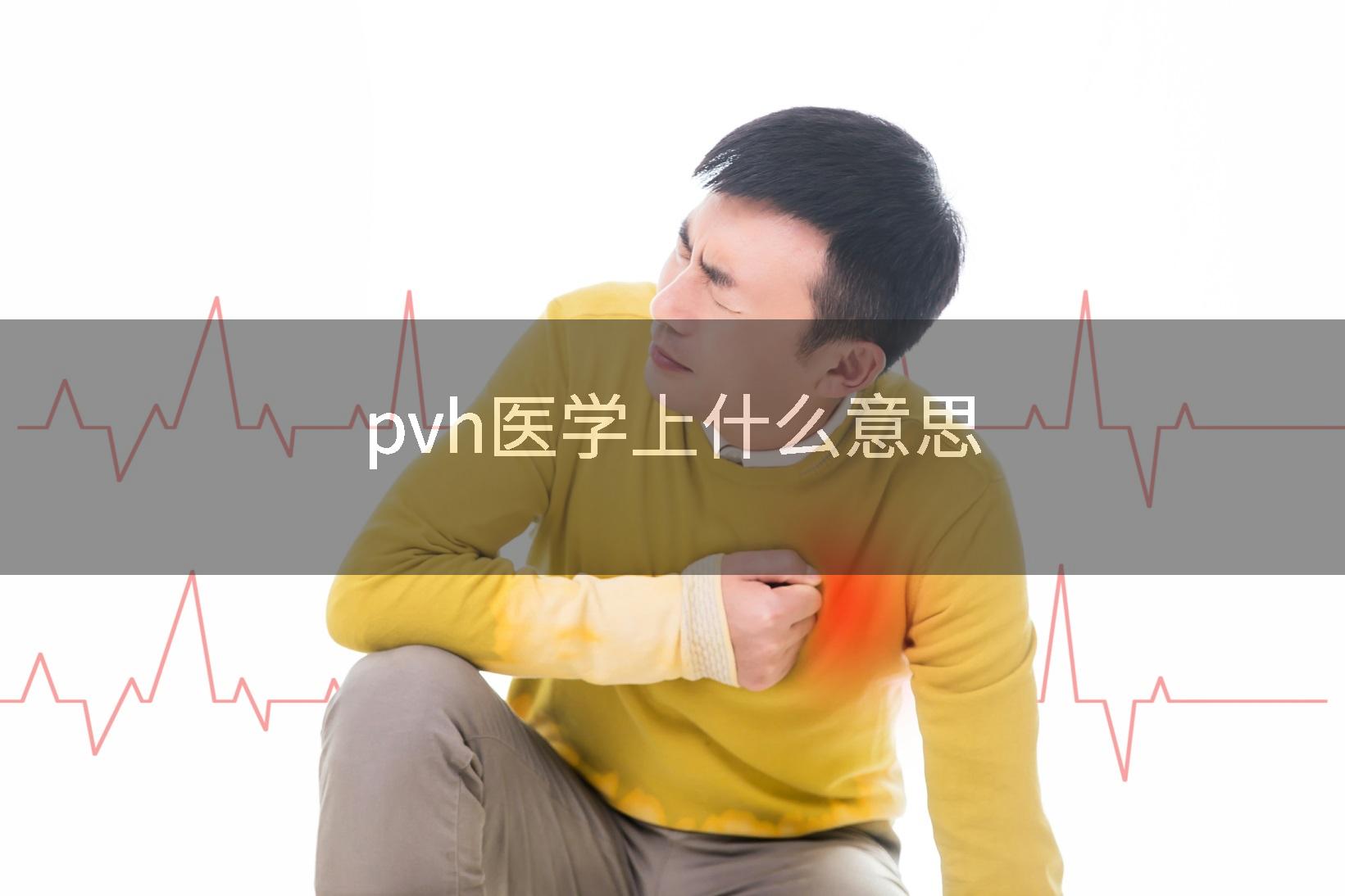 pvh医学上什么意思