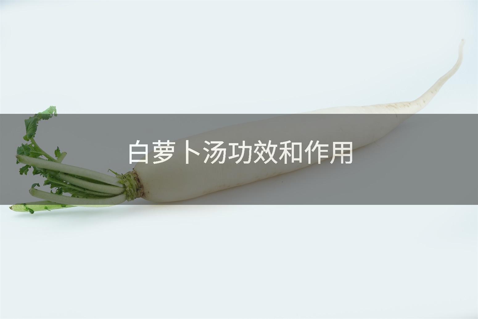 白萝卜汤功效和作用