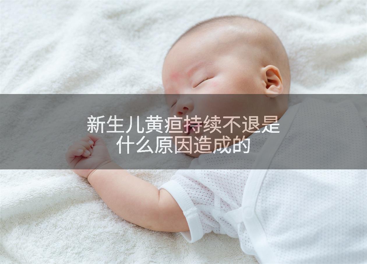 新生儿黄疸持续不退是什么原因造成的