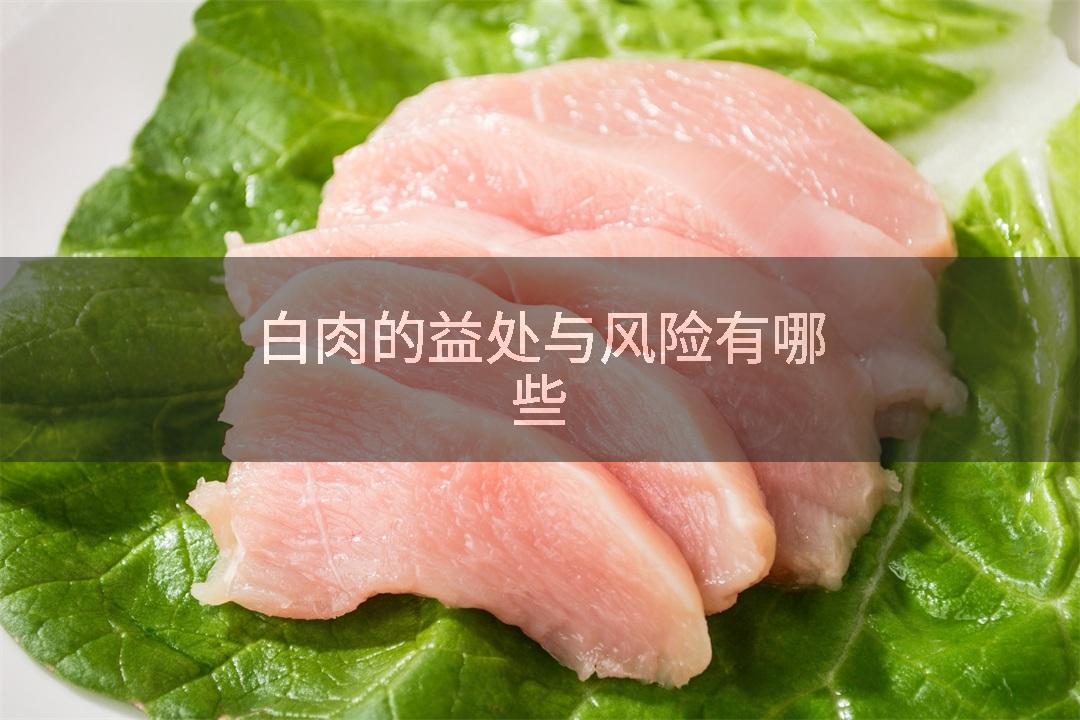 白肉的益处与风险有哪些