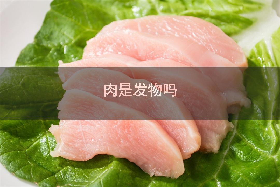 肉是发物吗