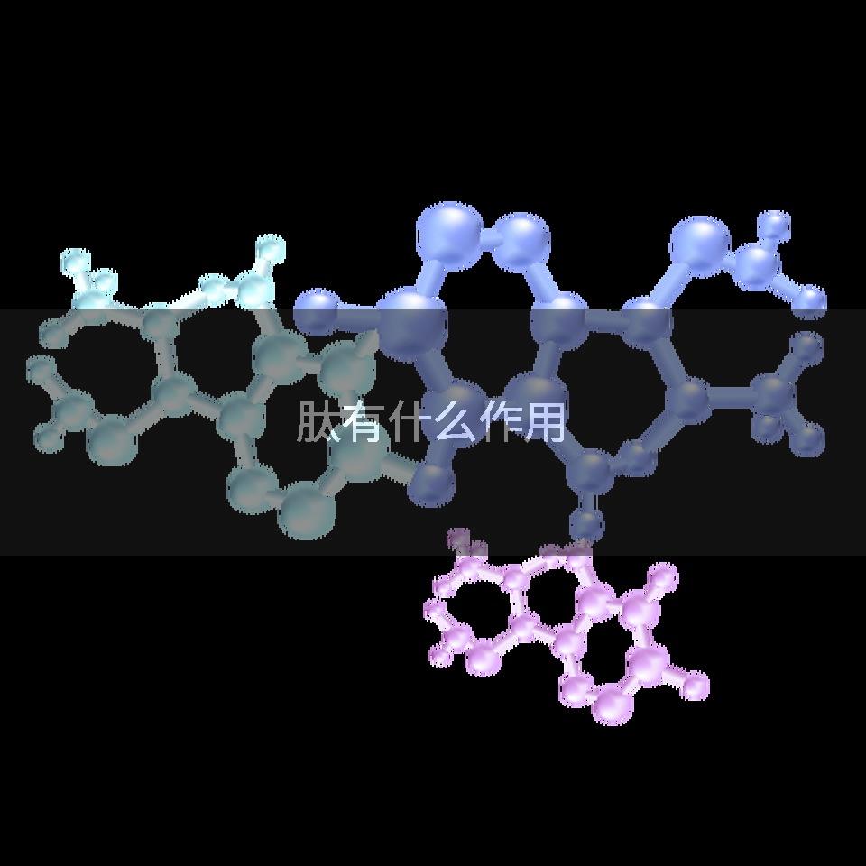 肽有什么作用
