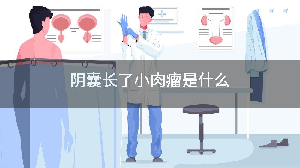 阴囊长了小肉瘤是什么