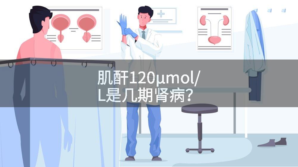 肌酐120μmol/L是几期肾病？