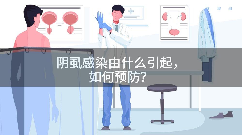 阴虱感染由什么引起，如何预防？