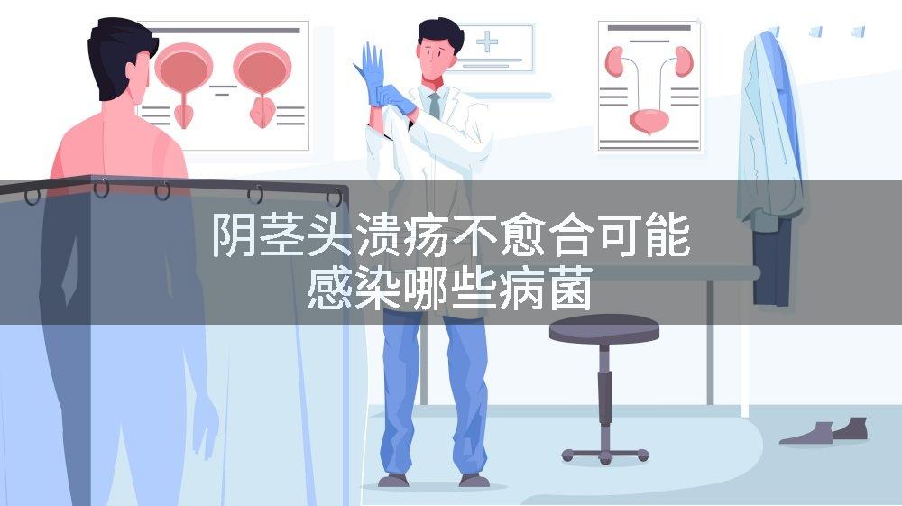 阴茎头溃疡不愈合可能感染哪些病菌