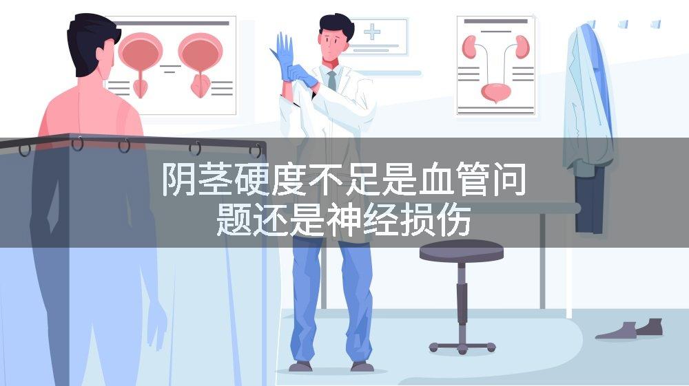 阴茎硬度不足是血管问题还是神经损伤
