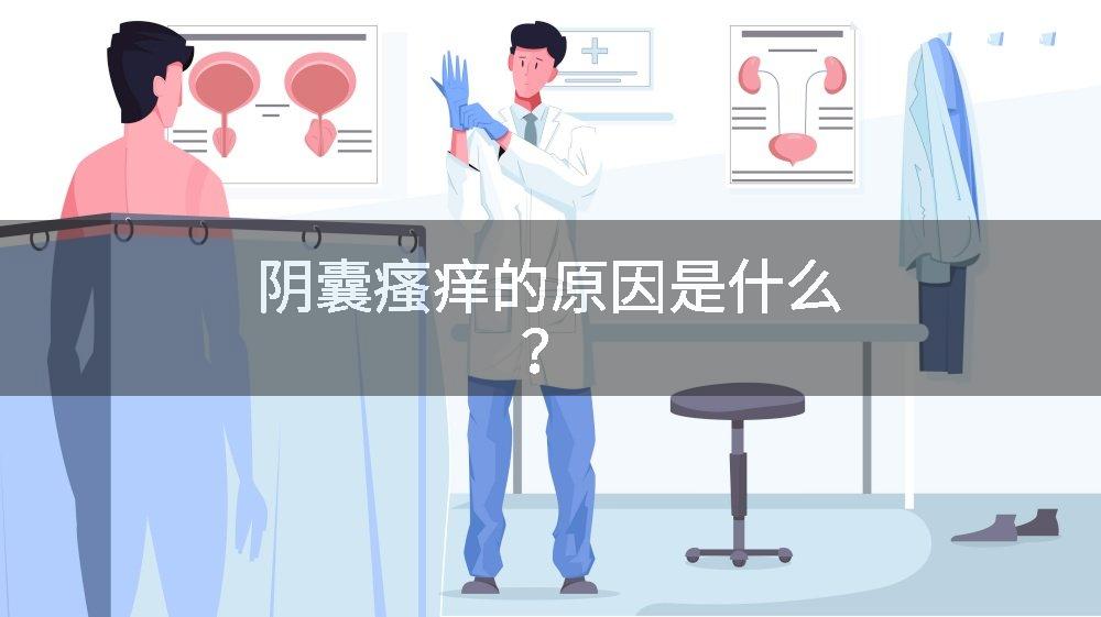 阴囊瘙痒的原因是什么？