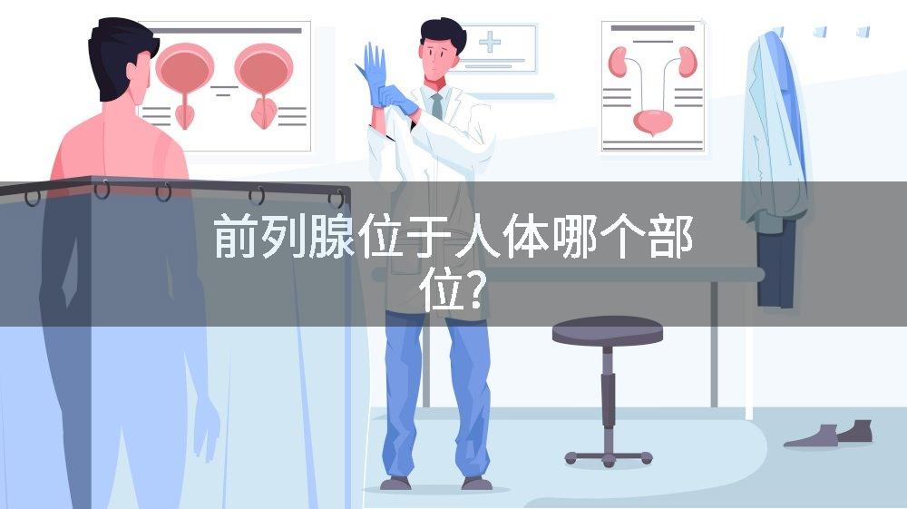 前列腺位于人体哪个部位?