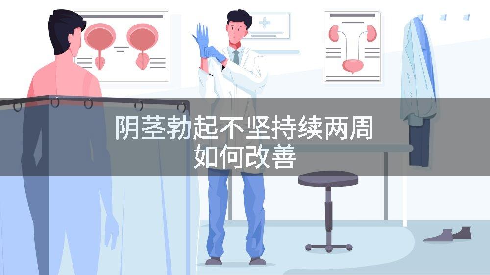 阴茎勃起不坚持续两周如何改善