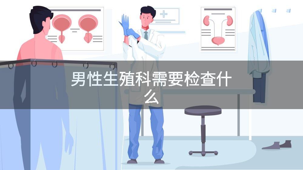 男性生殖科需要检查什么