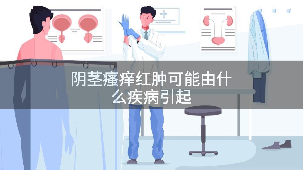 阴茎瘙痒红肿可能由什么疾病引起
