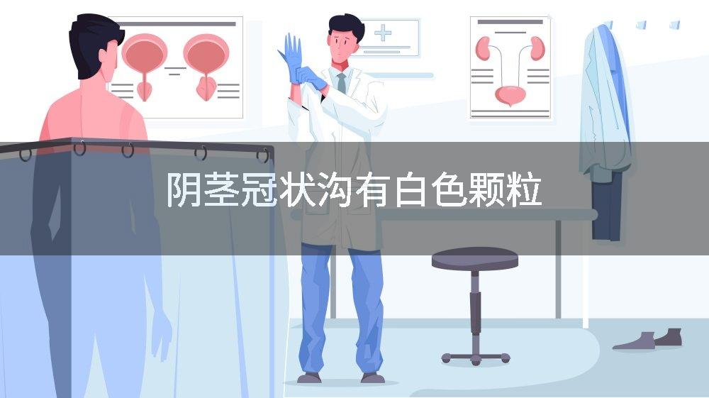 阴茎冠状沟有白色颗粒