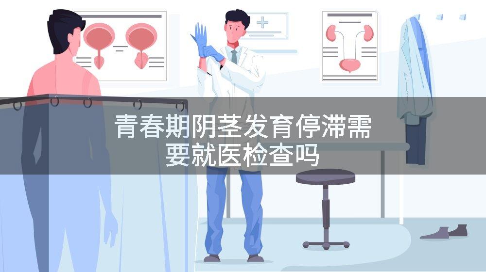 青春期阴茎发育停滞需要就医检查吗