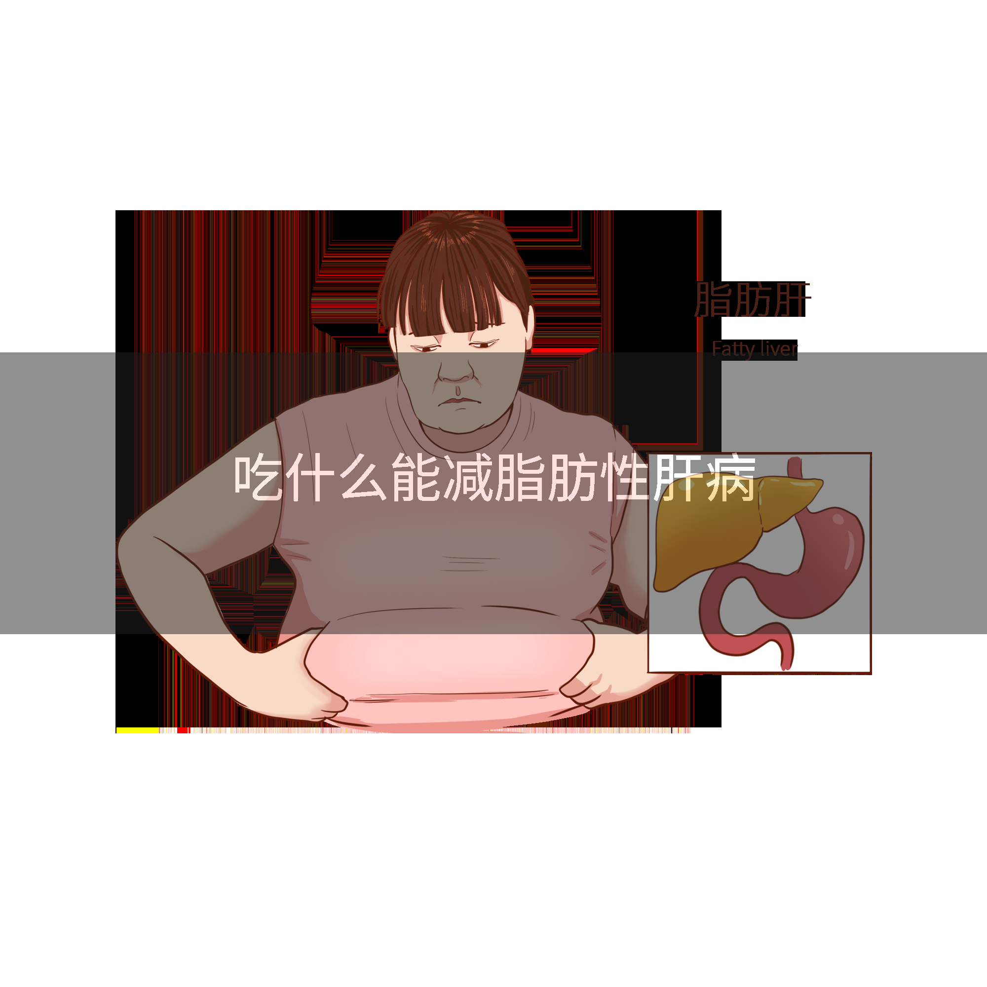 吃什么能减脂肪性肝病