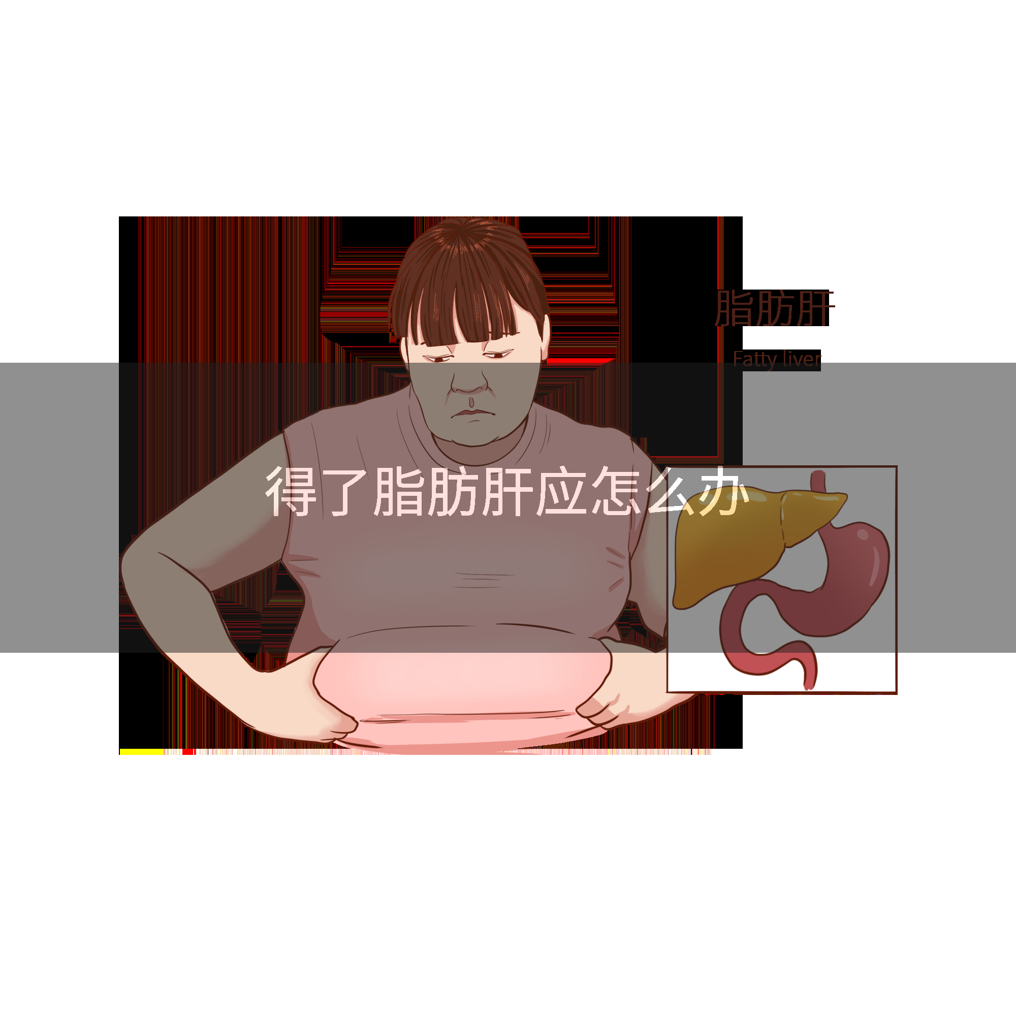 得了脂肪肝应怎么办