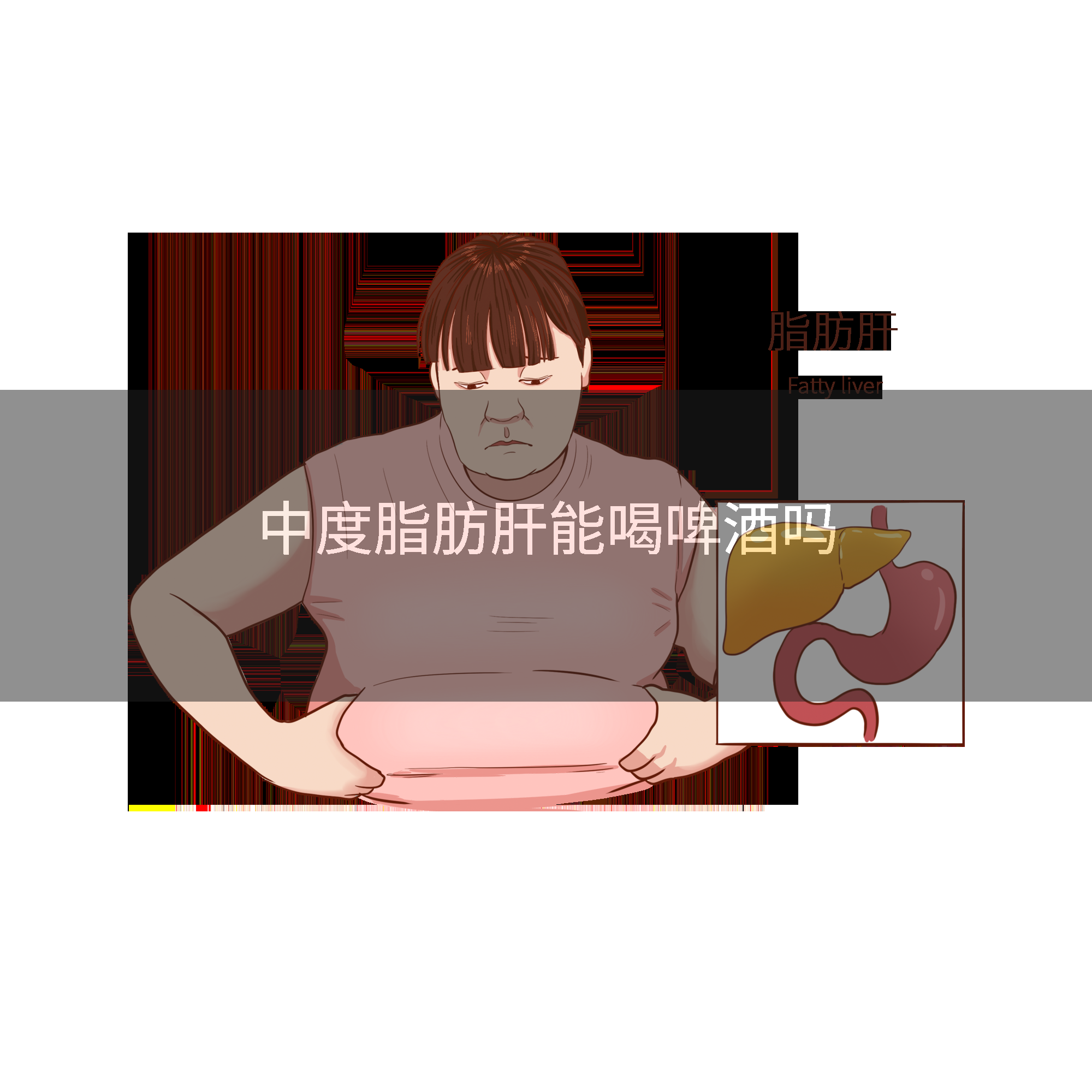 中度脂肪肝能喝啤酒吗