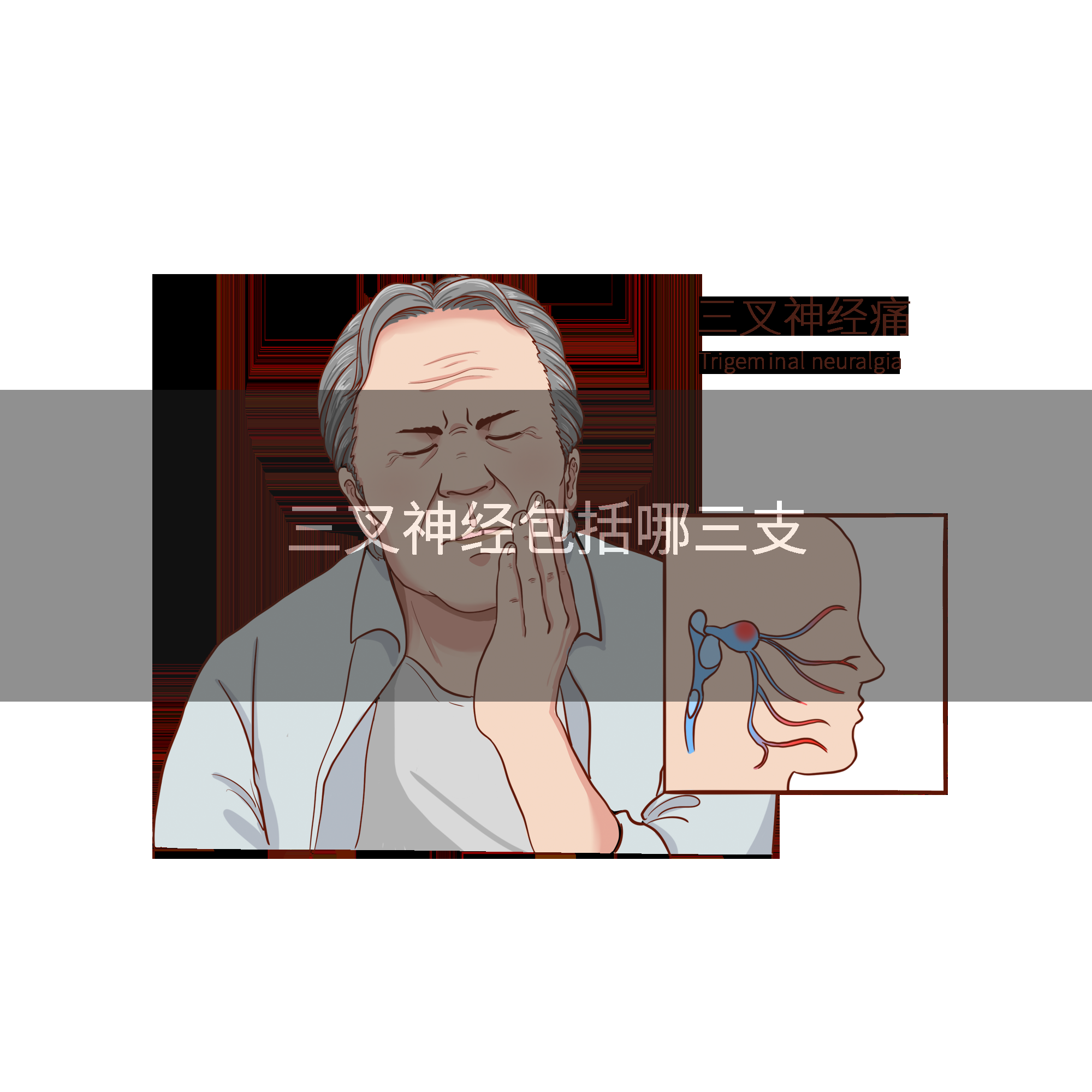 三叉神经包括哪三支