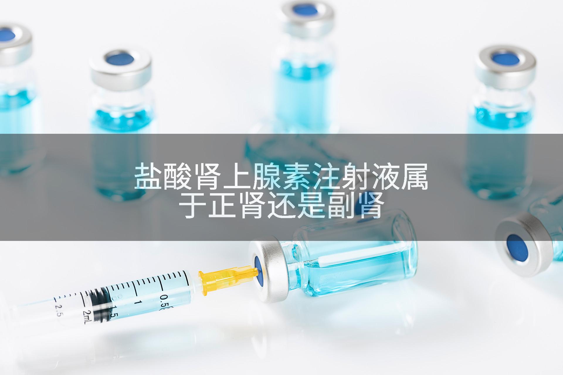 盐酸肾上腺素注射液属于正肾还是副肾