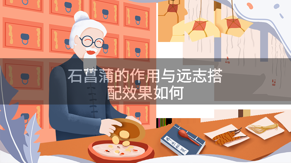 石菖蒲的作用与远志搭配效果如何