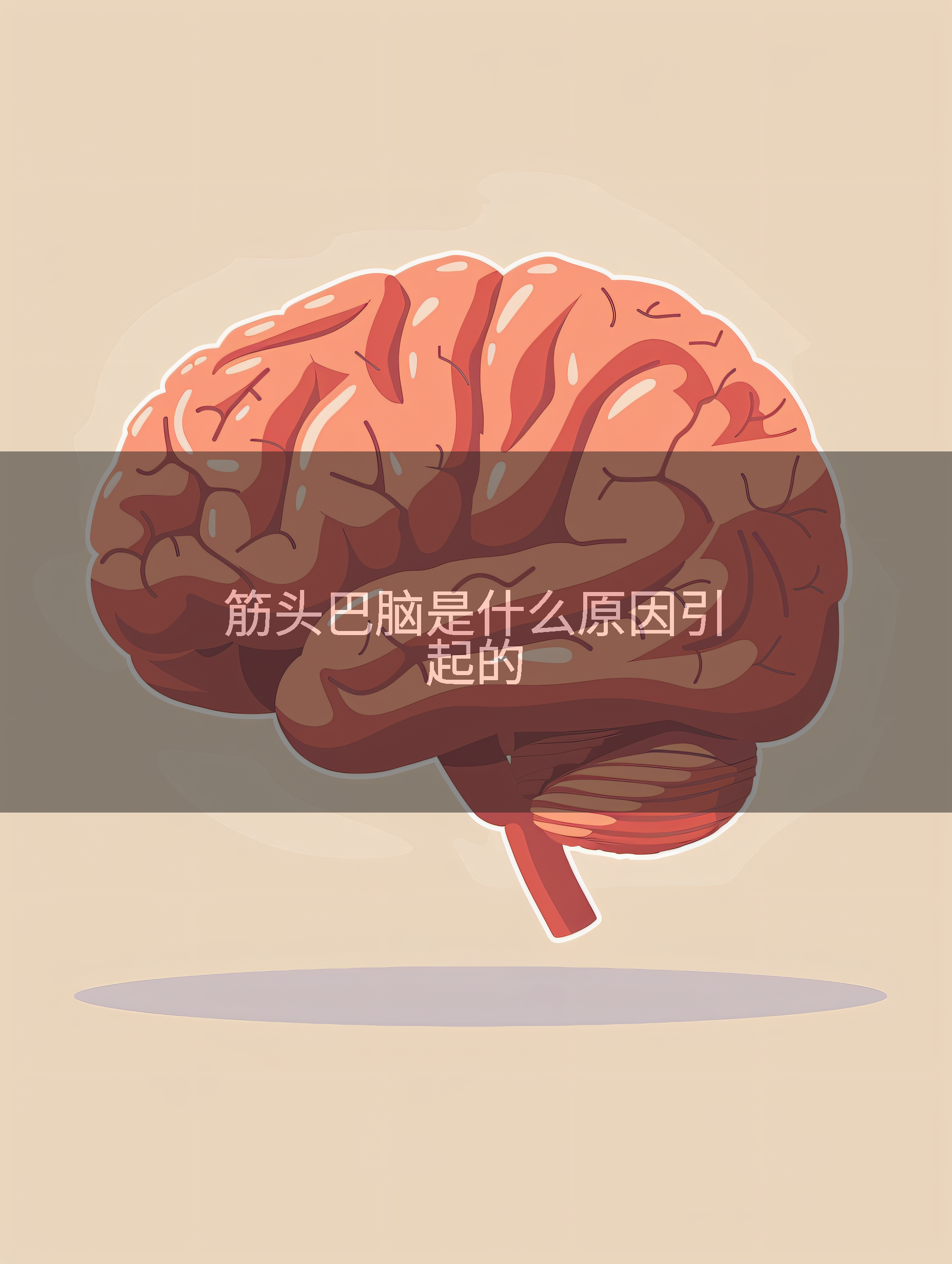 筋头巴脑是什么原因引起的