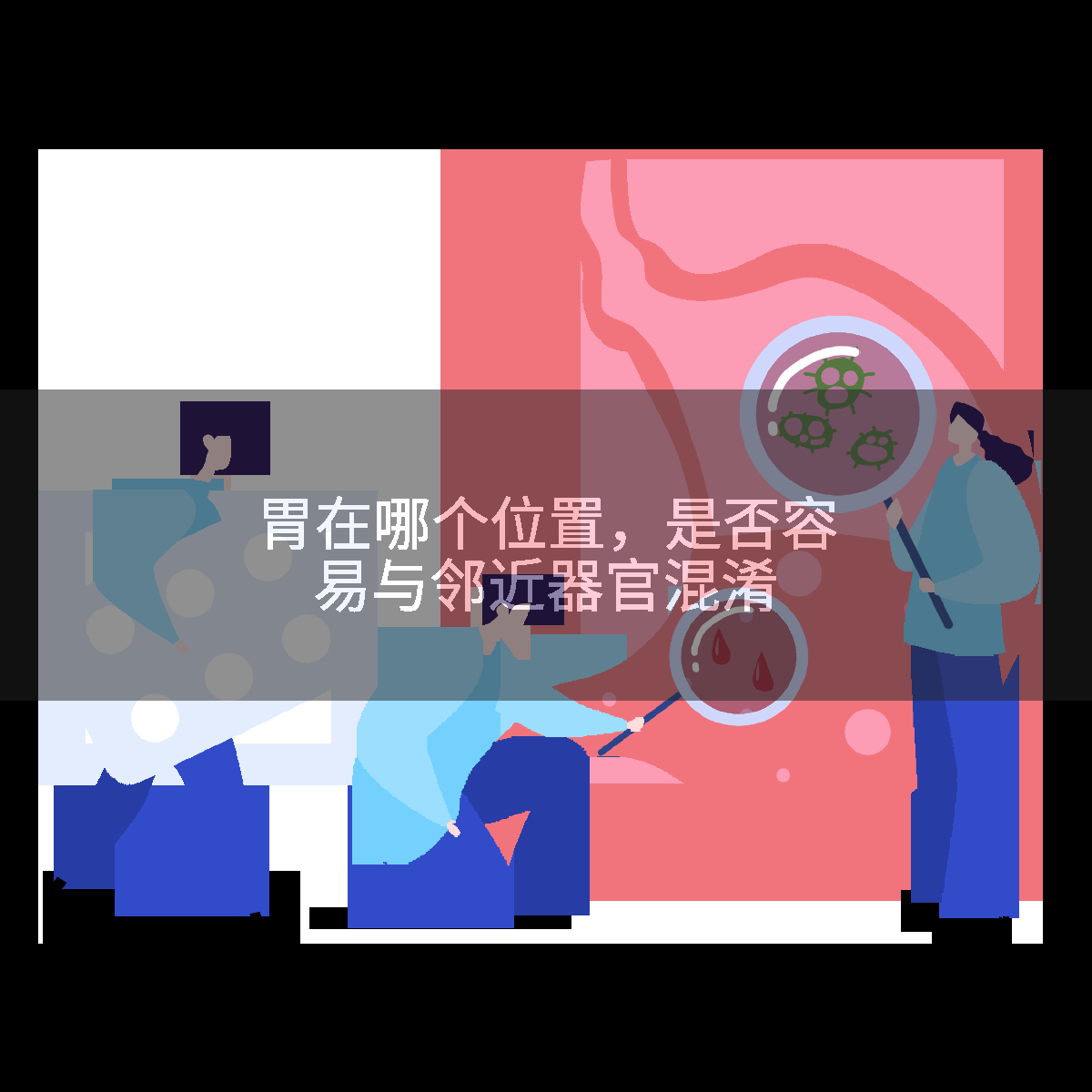 胃在哪个位置,是否容易与邻近器官混淆