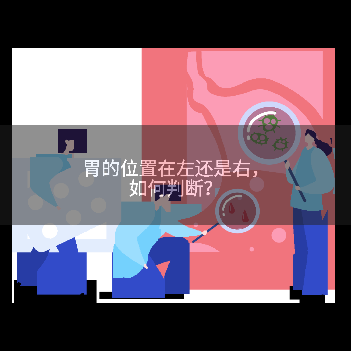 胃的位置在左还是右，如何判断？