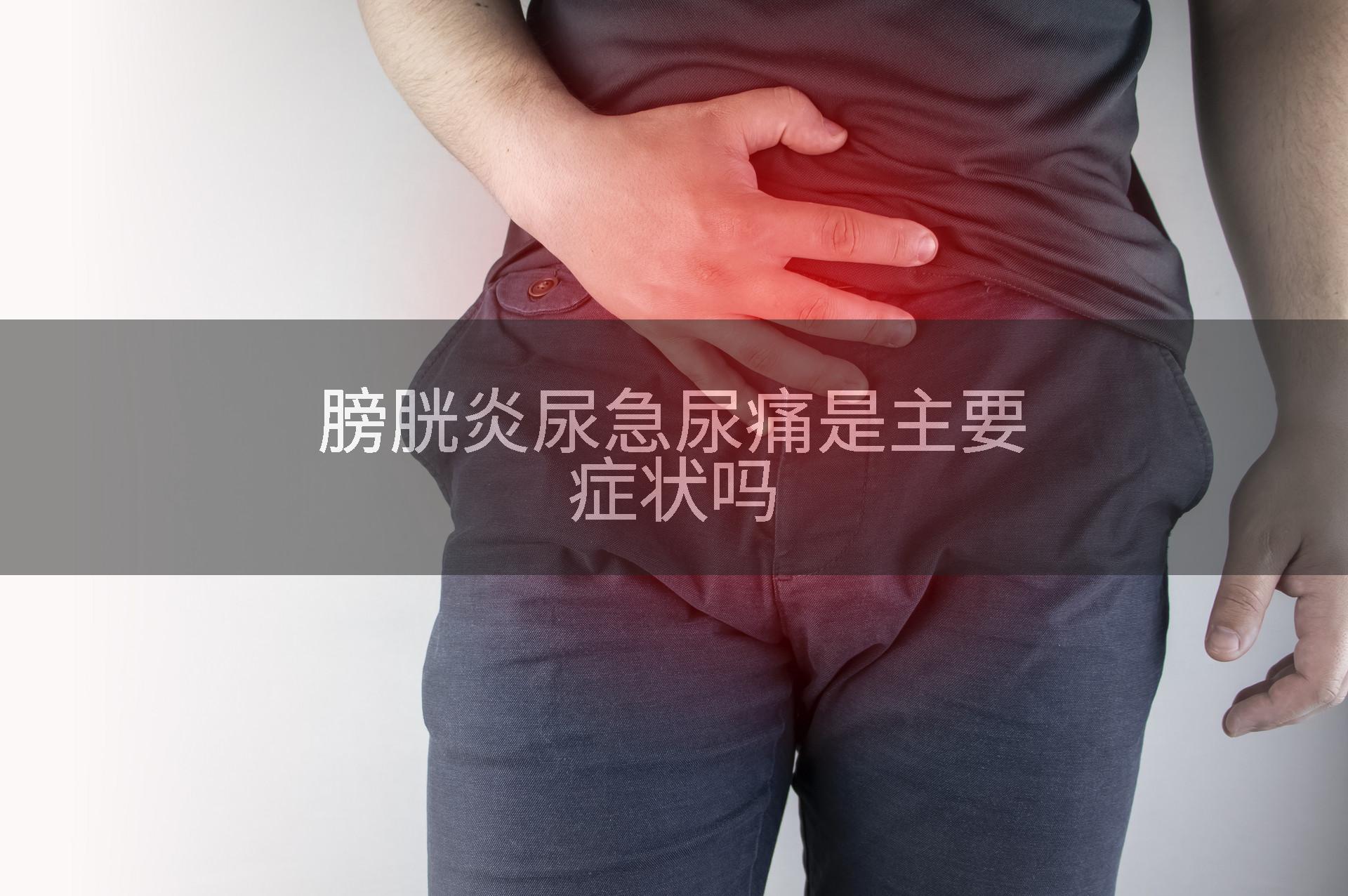 膀胱炎尿急尿痛是主要症状吗