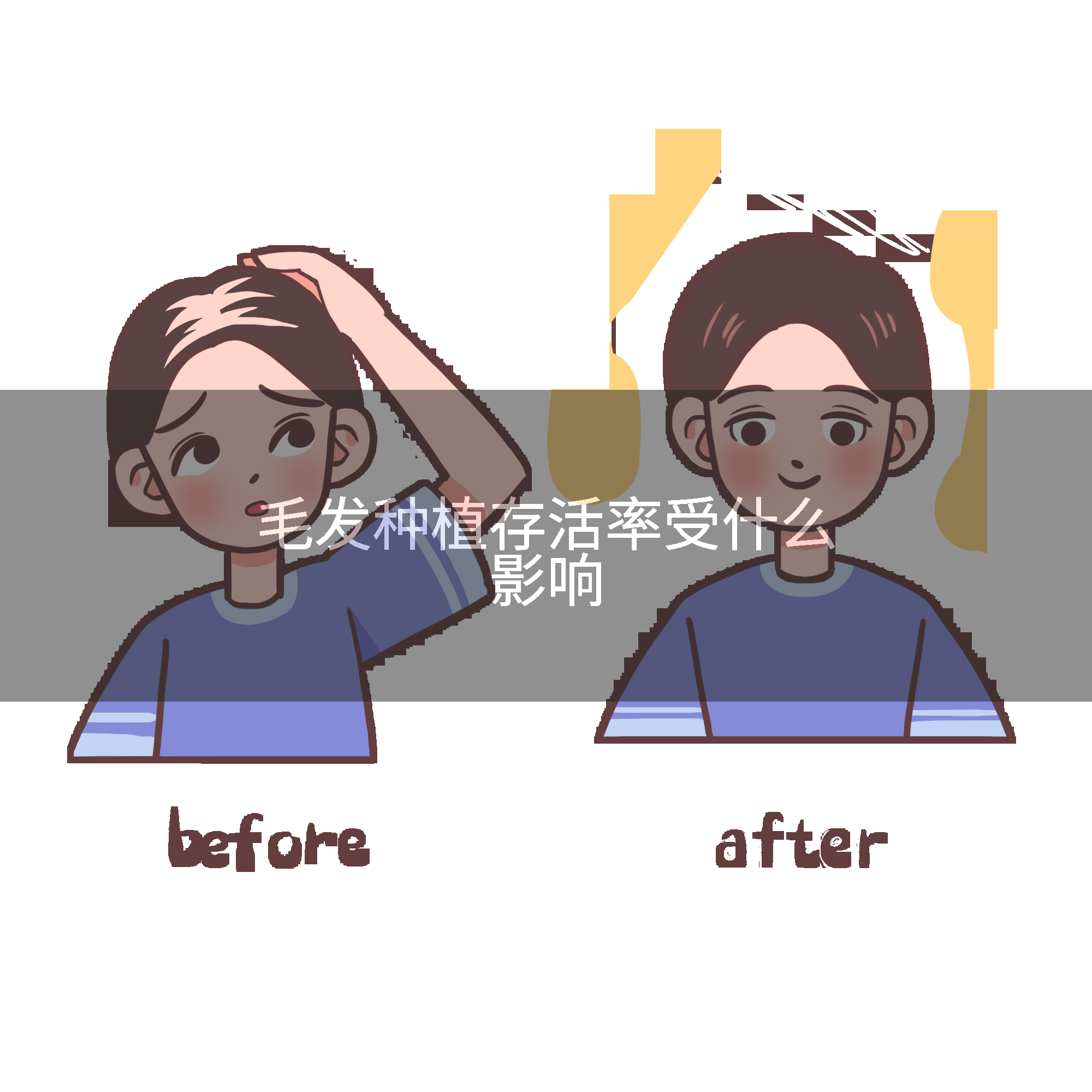 毛发种植存活率受什么影响