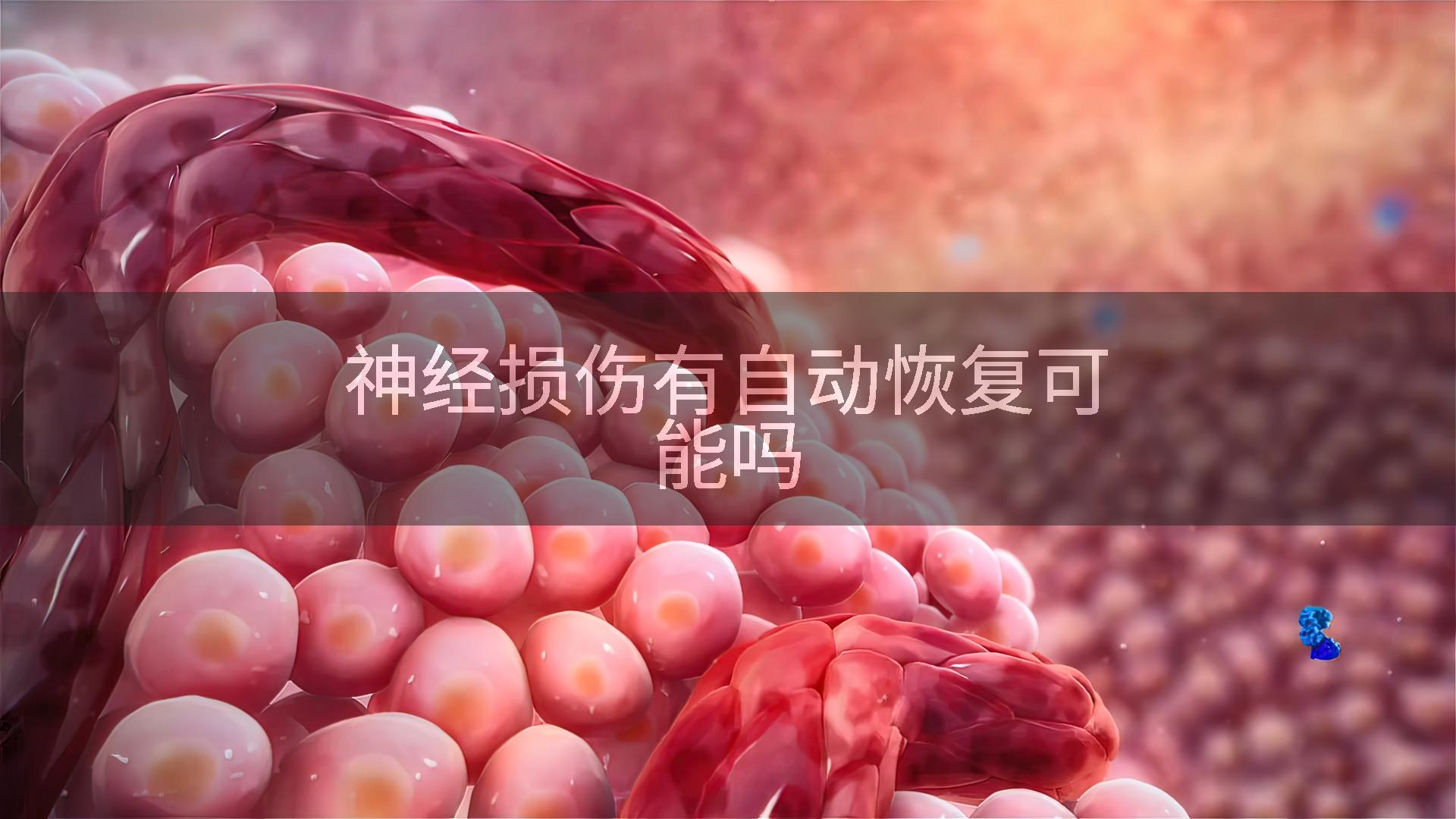 神经损伤有自动恢复可能吗