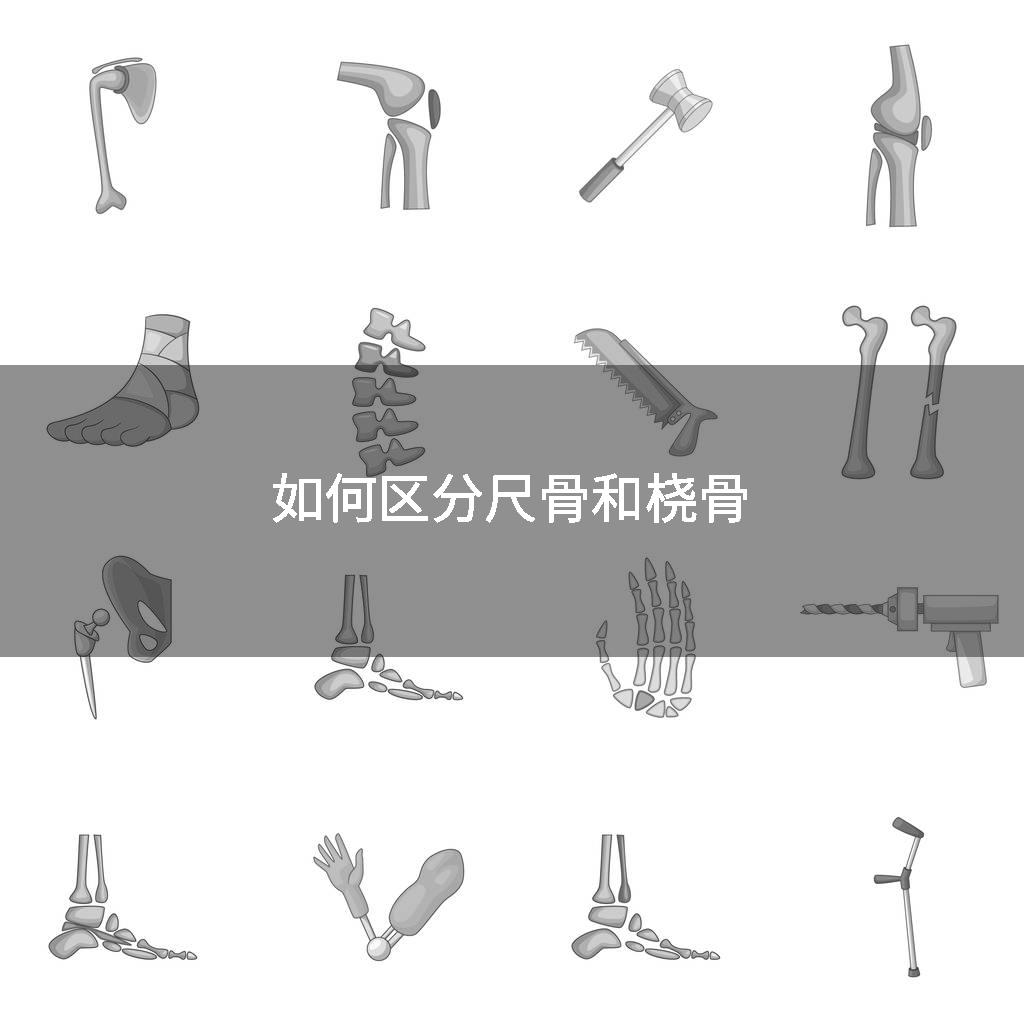 如何区分尺骨和桡骨