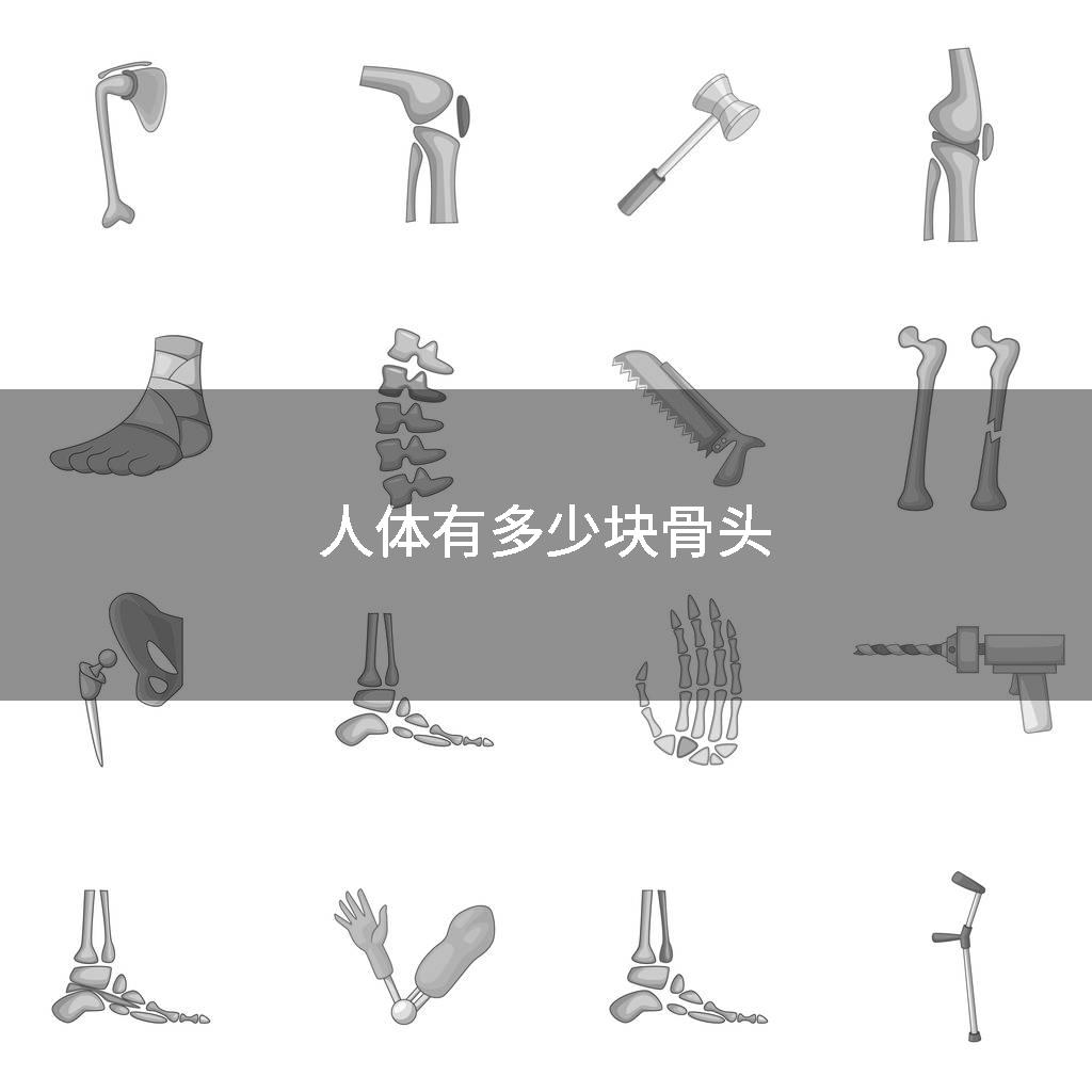 人体有多少块骨头