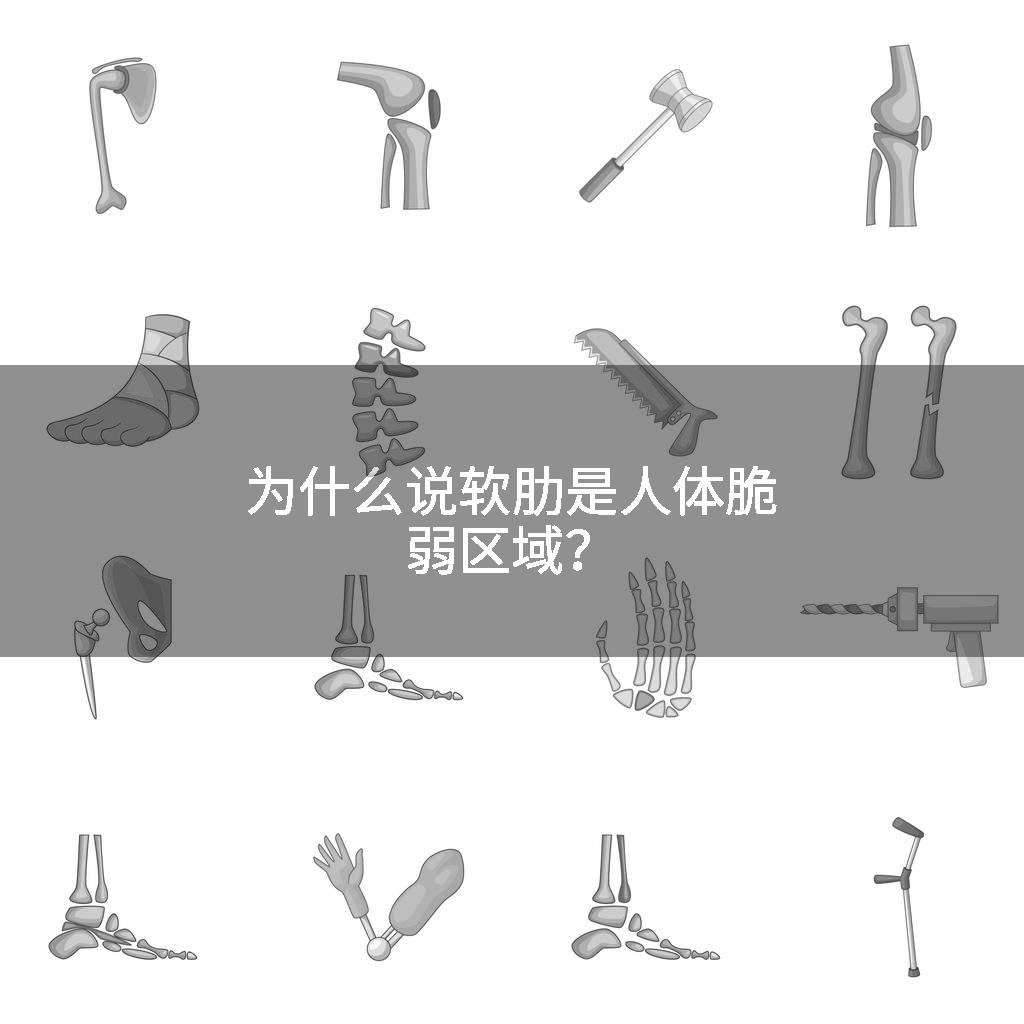 为什么说软肋是人体脆弱区域？
