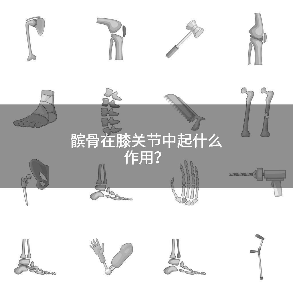 髌骨在膝关节中起什么作用？