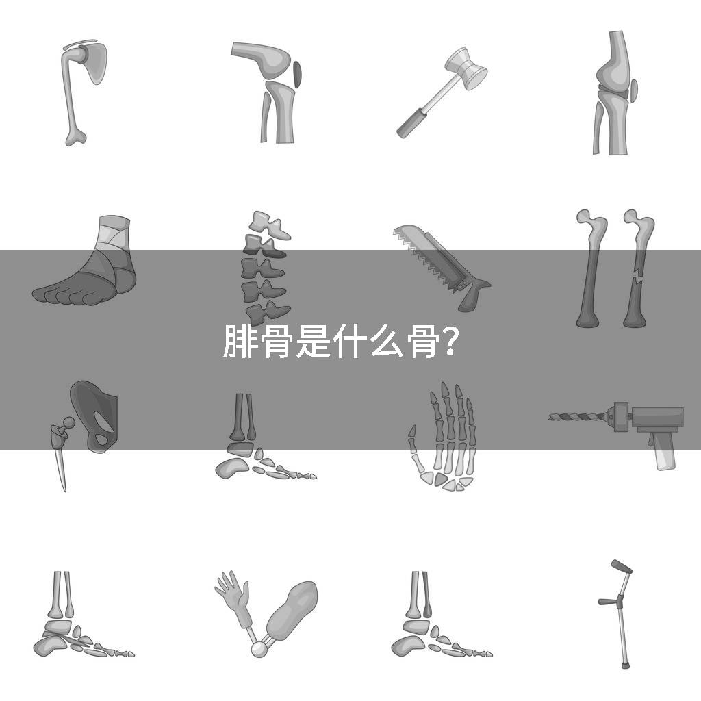 腓骨是什么骨？