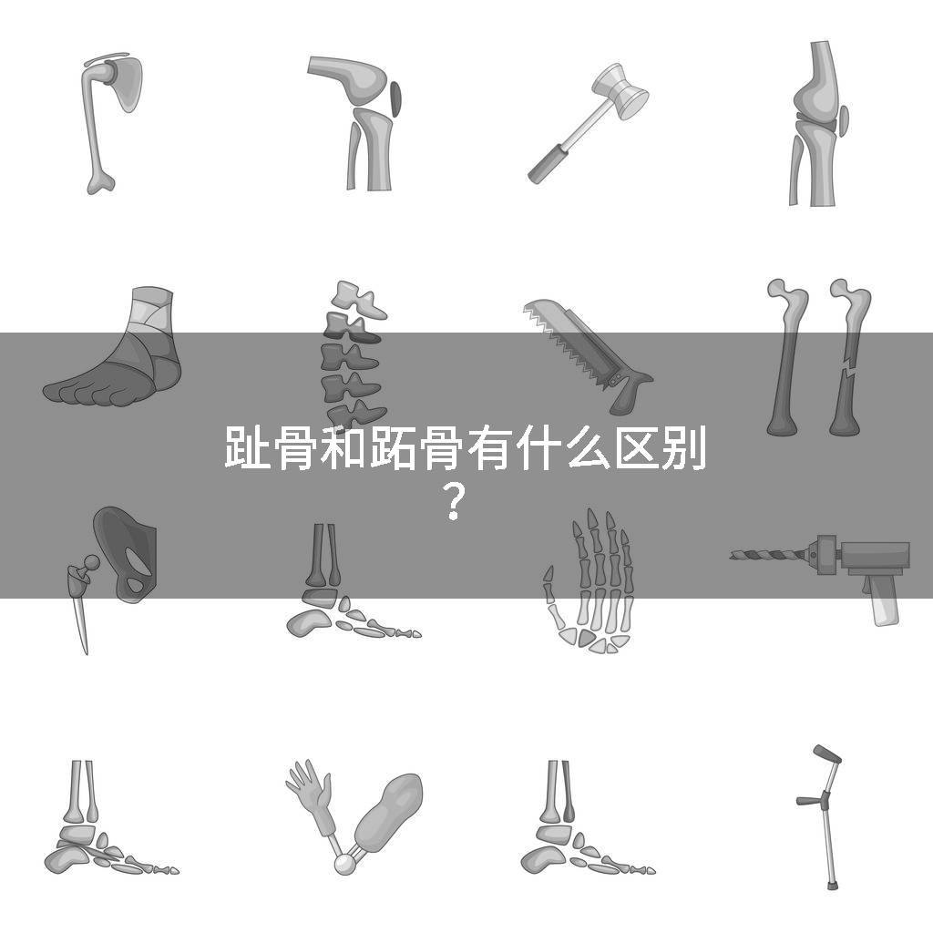 趾骨和跖骨有什么区别?