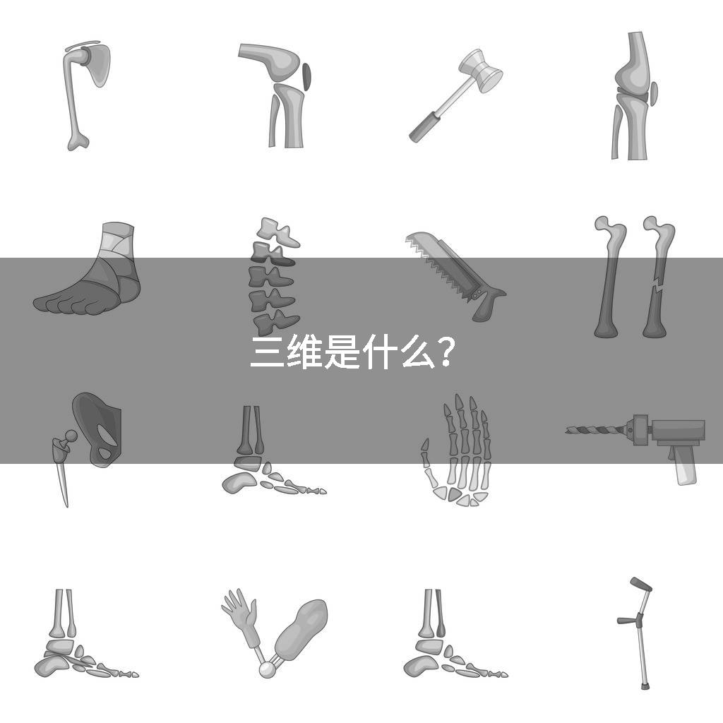 三维是什么？