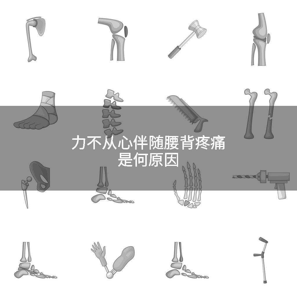 力不从心伴随腰背疼痛是何原因