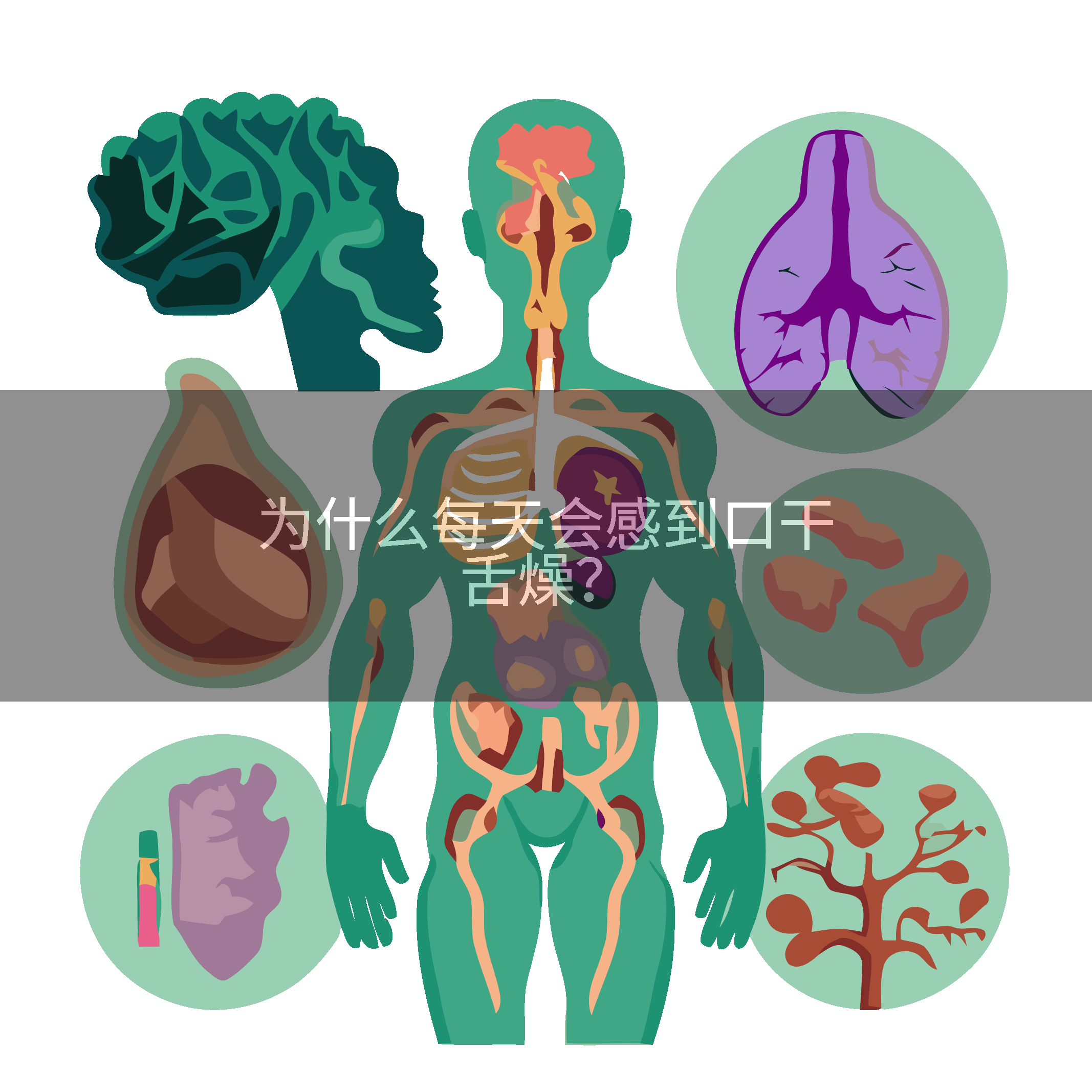 为什么每天会感到口干舌燥？