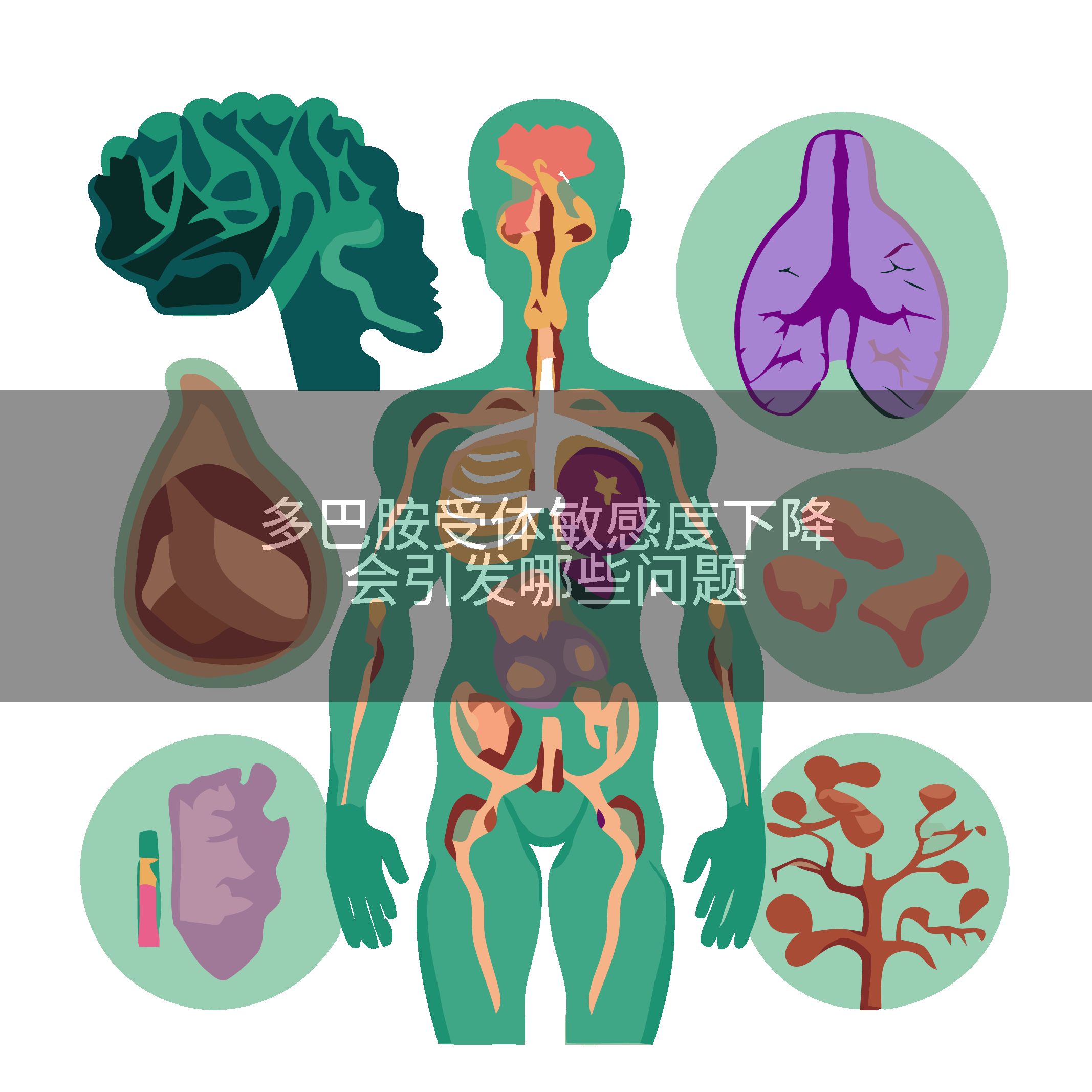 多巴胺受体敏感度下降会引发哪些问题