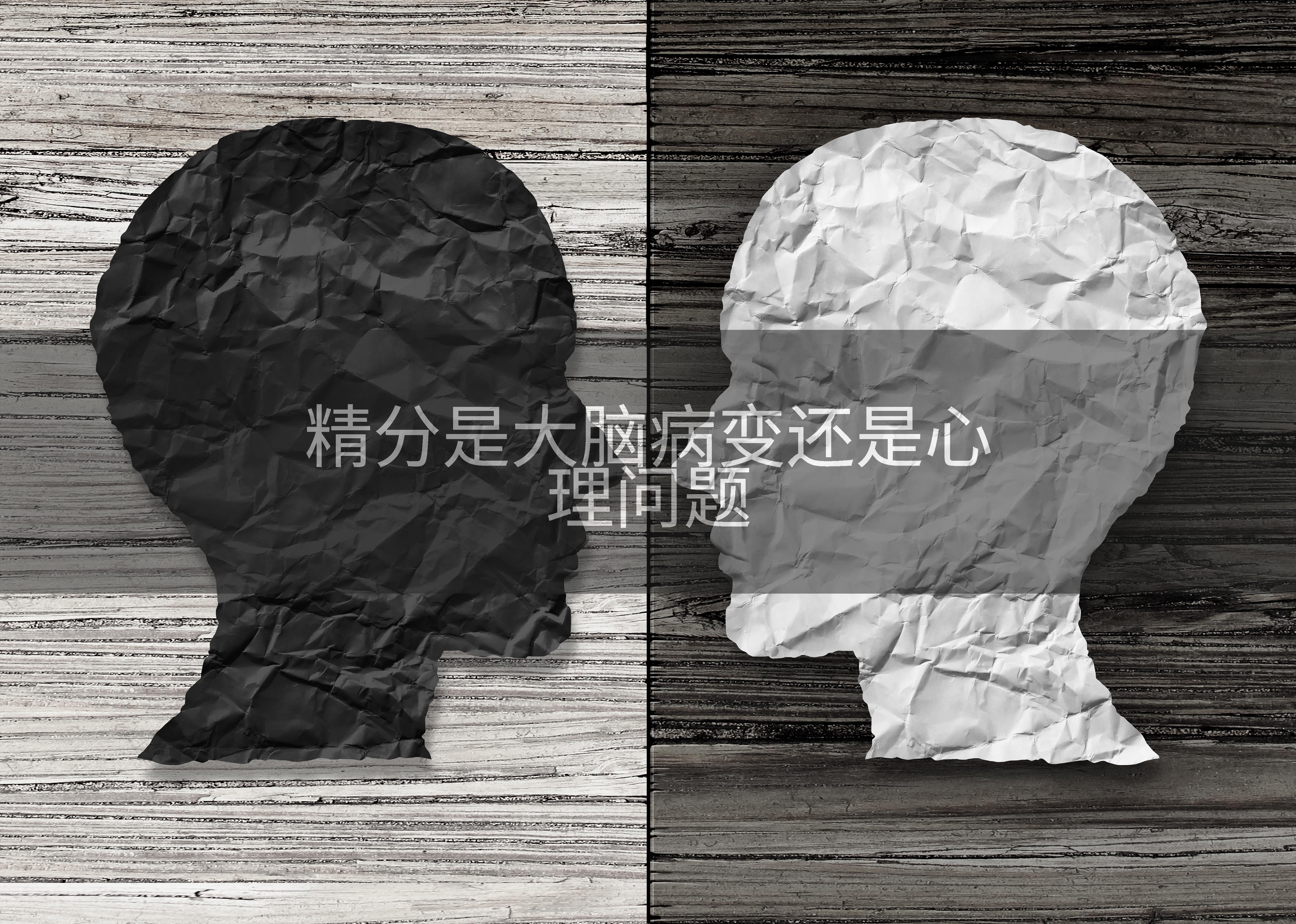精分是大脑病变还是心理问题