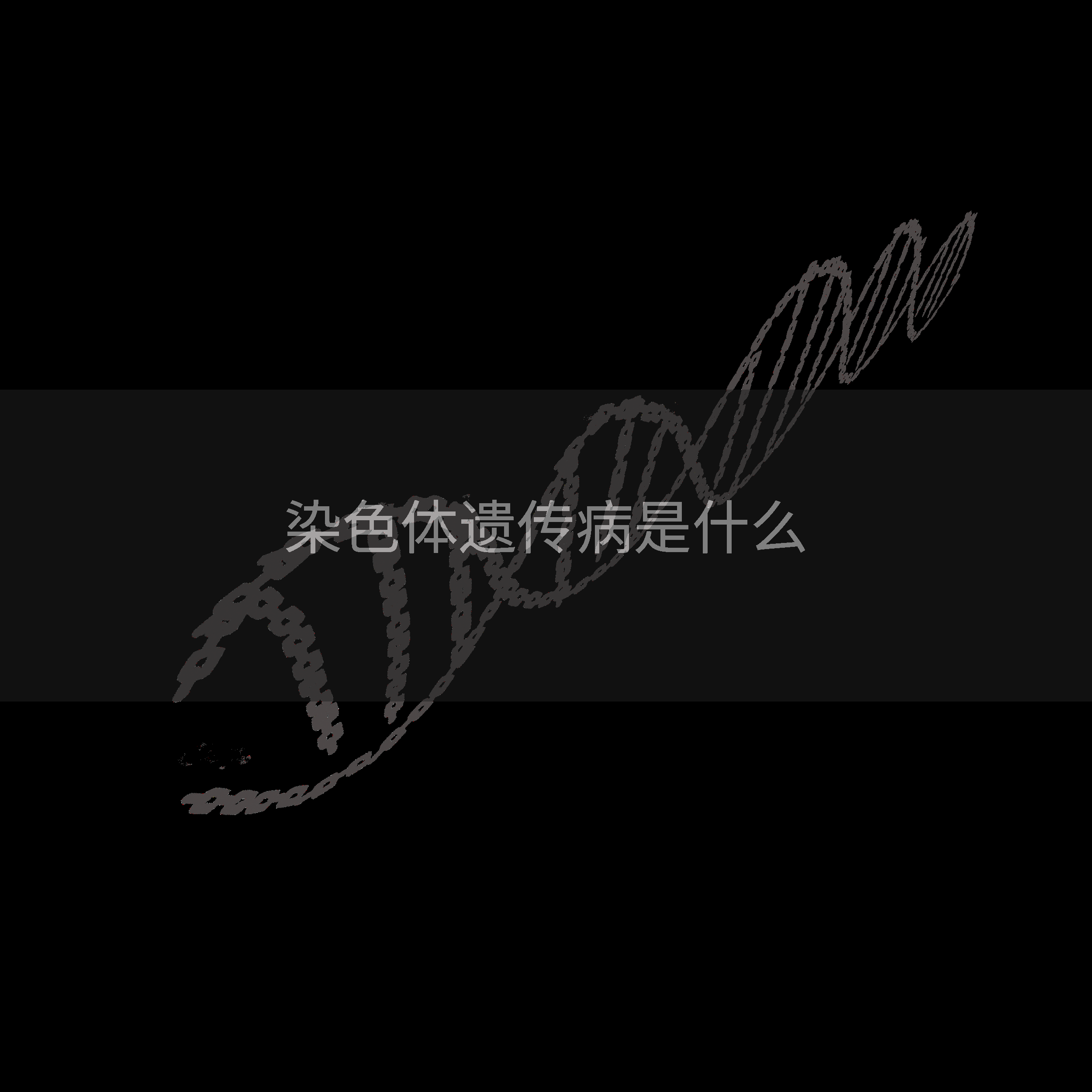 染色体遗传病是什么