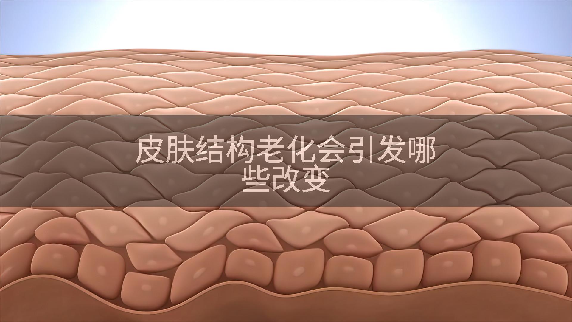 皮肤结构老化会引发哪些改变