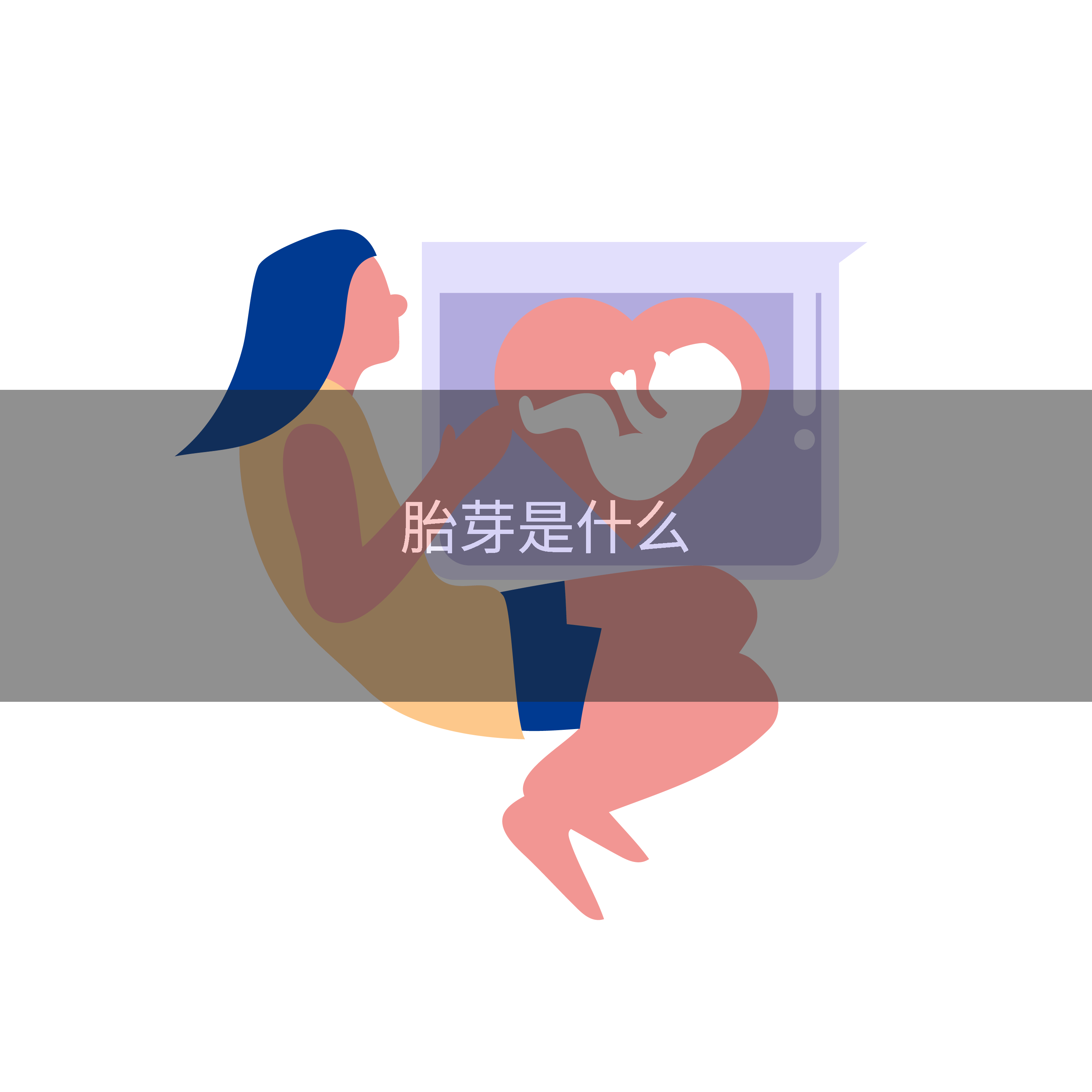 胎芽是什么