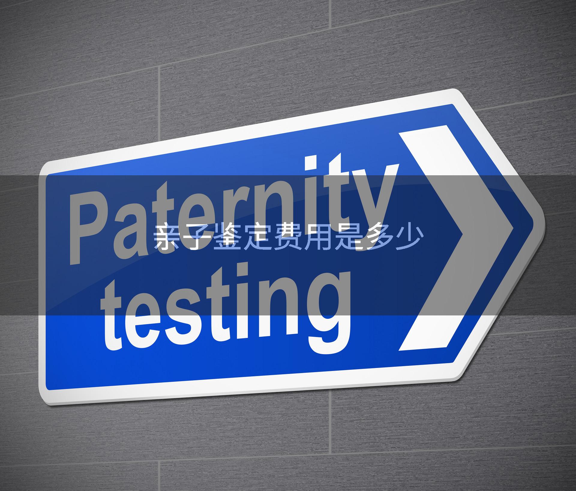 亲子鉴定费用是多少