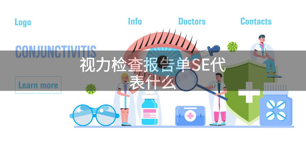 视力检查报告单SE代表什么