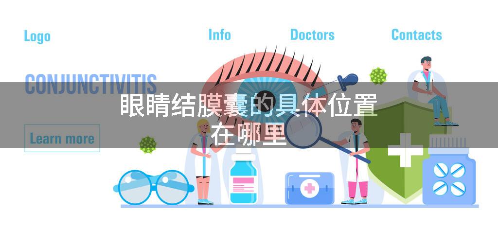 眼睛结膜囊的具体位置在哪里