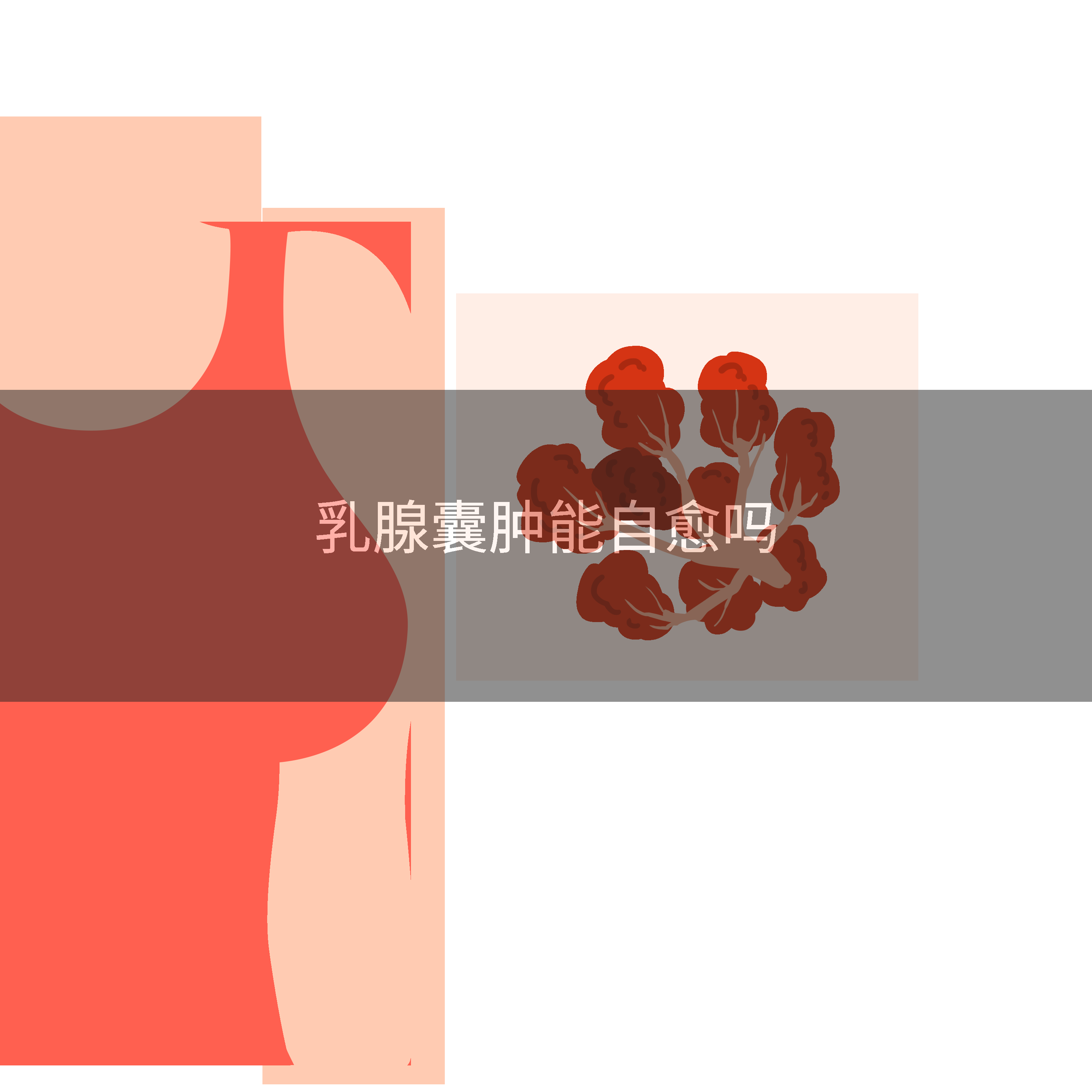 乳腺囊肿能自愈吗