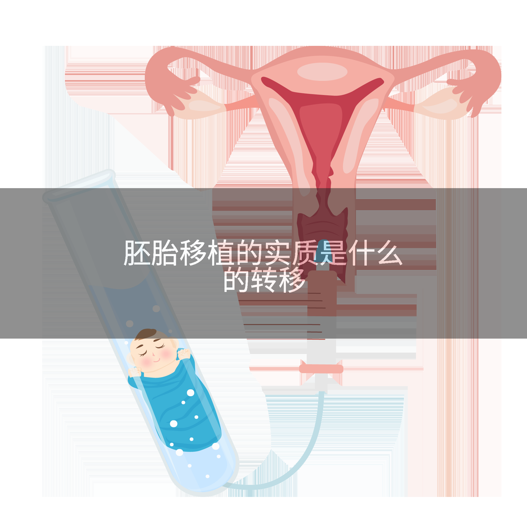 胚胎移植的实质是什么的转移