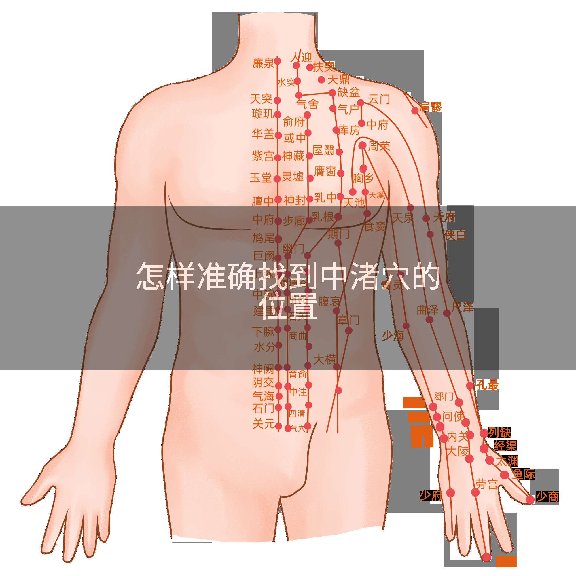 怎样准确找到中渚穴的位置